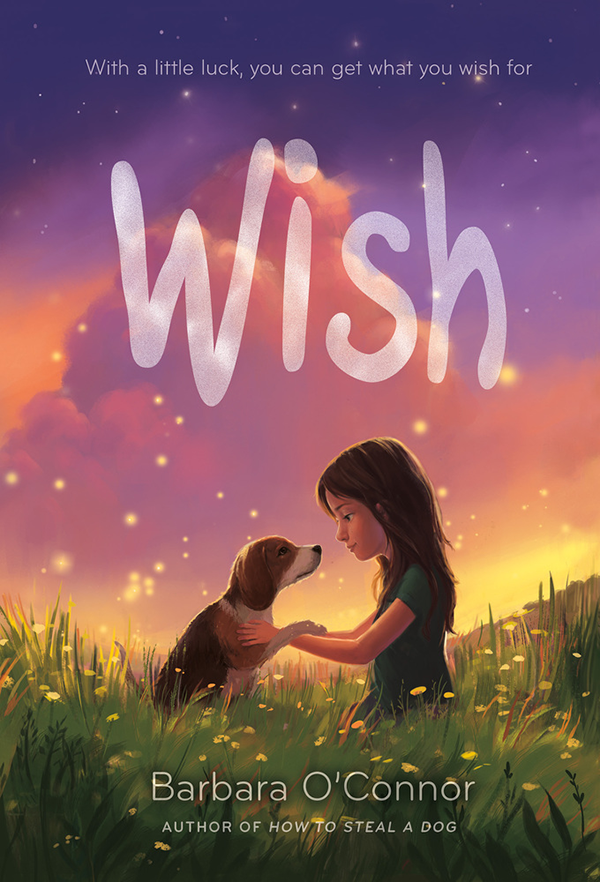 Wish by Barbara O'Connor